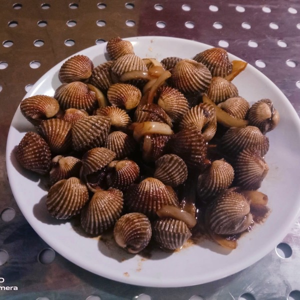 Kerang Dara
